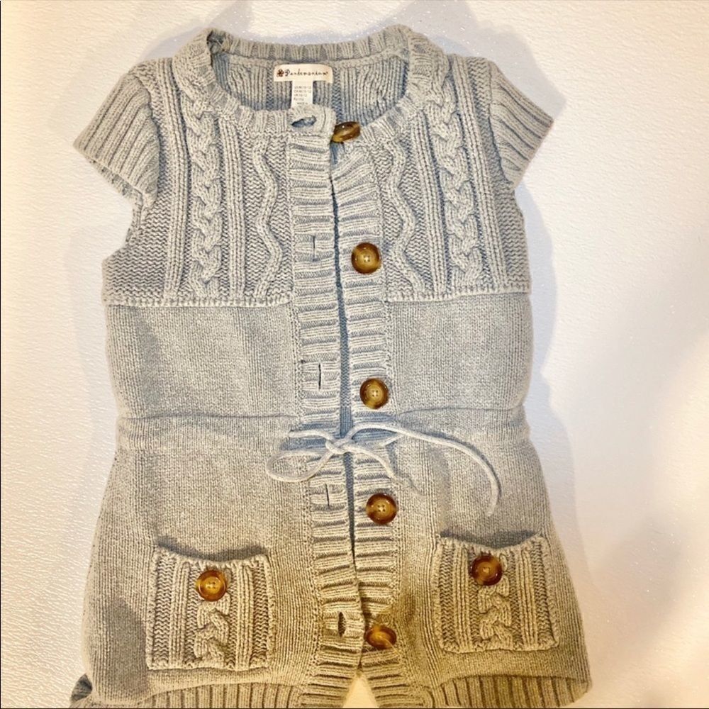 pandemonium medium gray bottom down vest